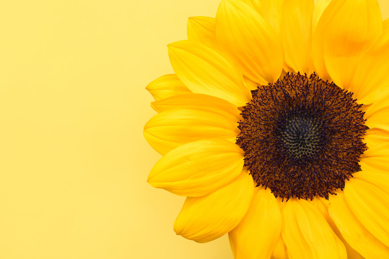 Livros sobre Espiritualidade e Fé para o Setembro Amarelo