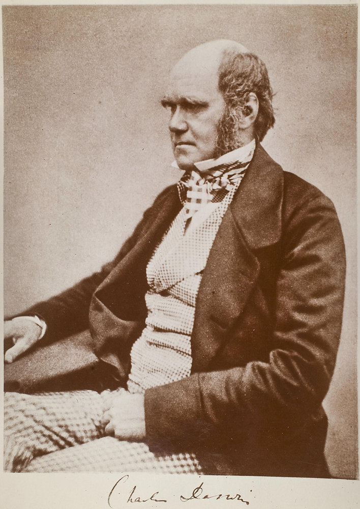 Recriação da vida de Charles Darwin através do olhar de seu mordomo